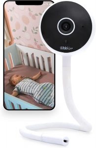 Lee más sobre el artículo TU BEBÉ SEGURO Y LOS PADRES TRANQUILOS CON LA CAMARA WIFI DIGITAL